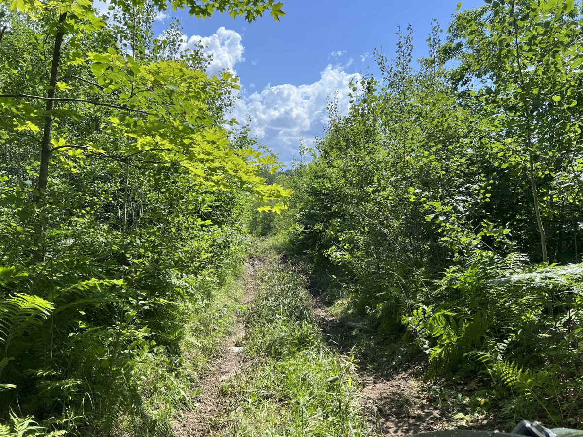 Forest County ATV/ SXS 8 Mile Loop Trail 4 photo 4