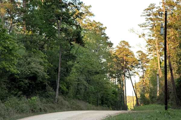 County Road 1190