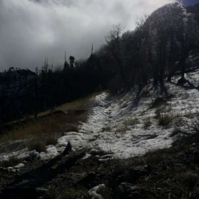 Near Gardner Canyon to Madera Canyon