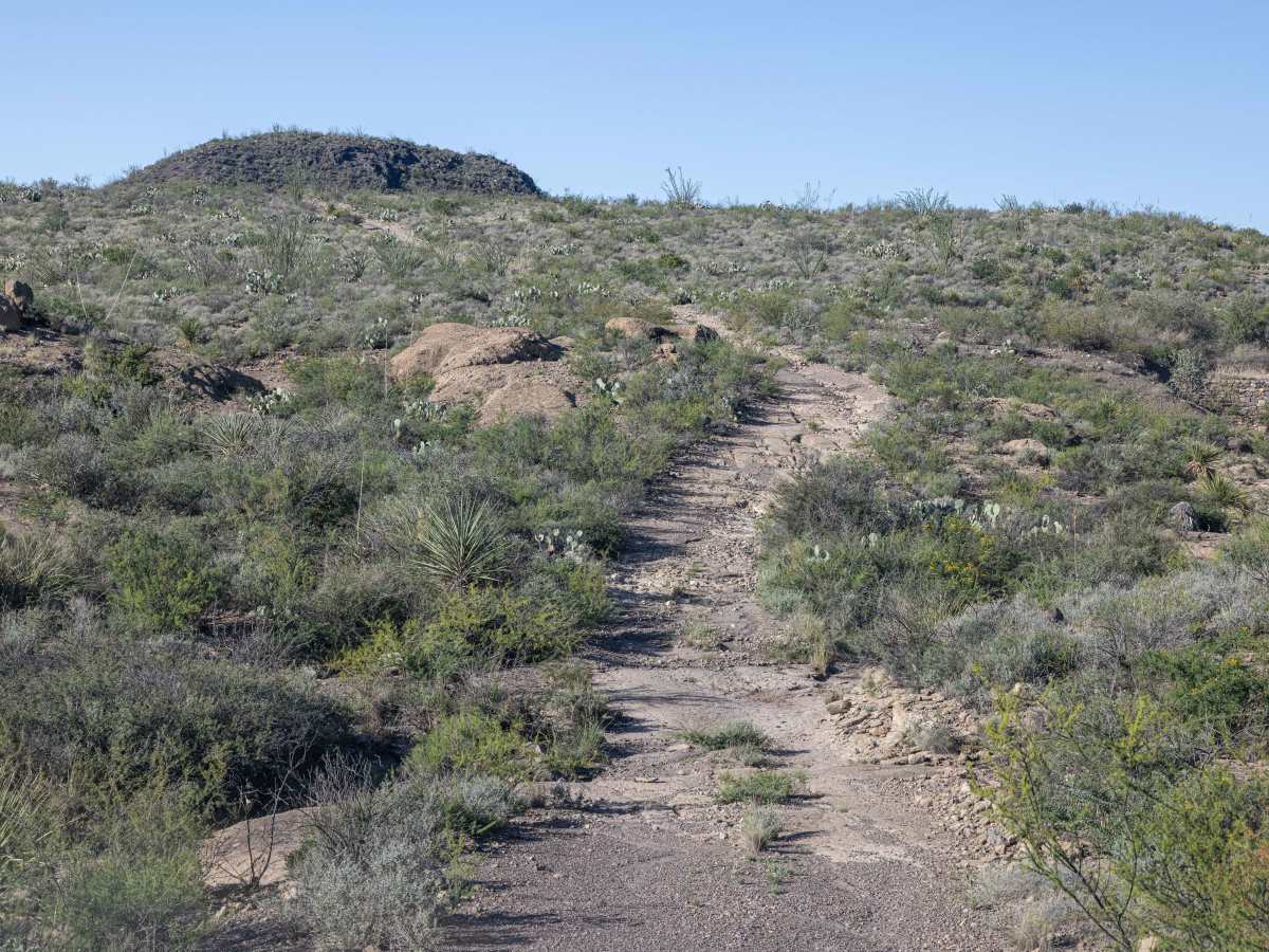BBRSP La Mota Road trail photo