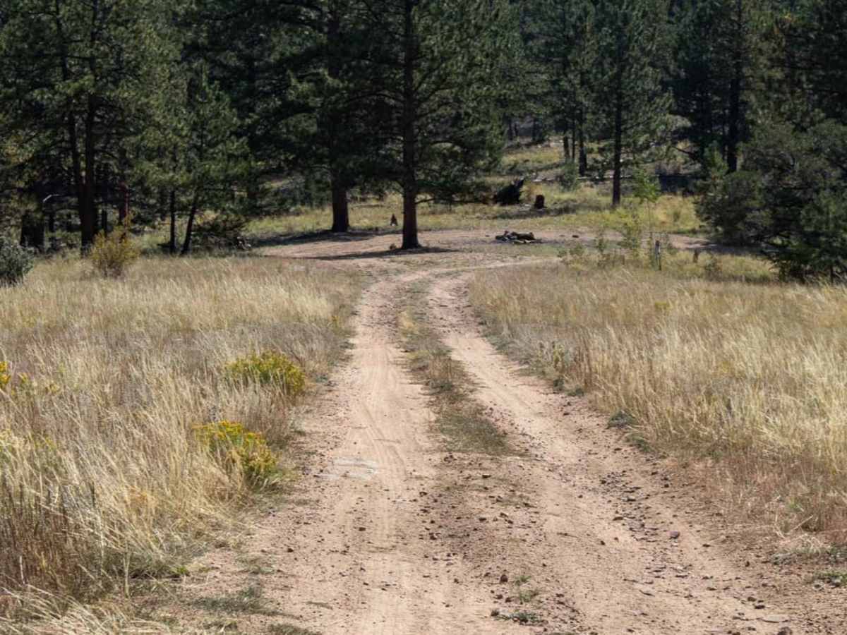 Bald Mountain Gulch 2 photo 3