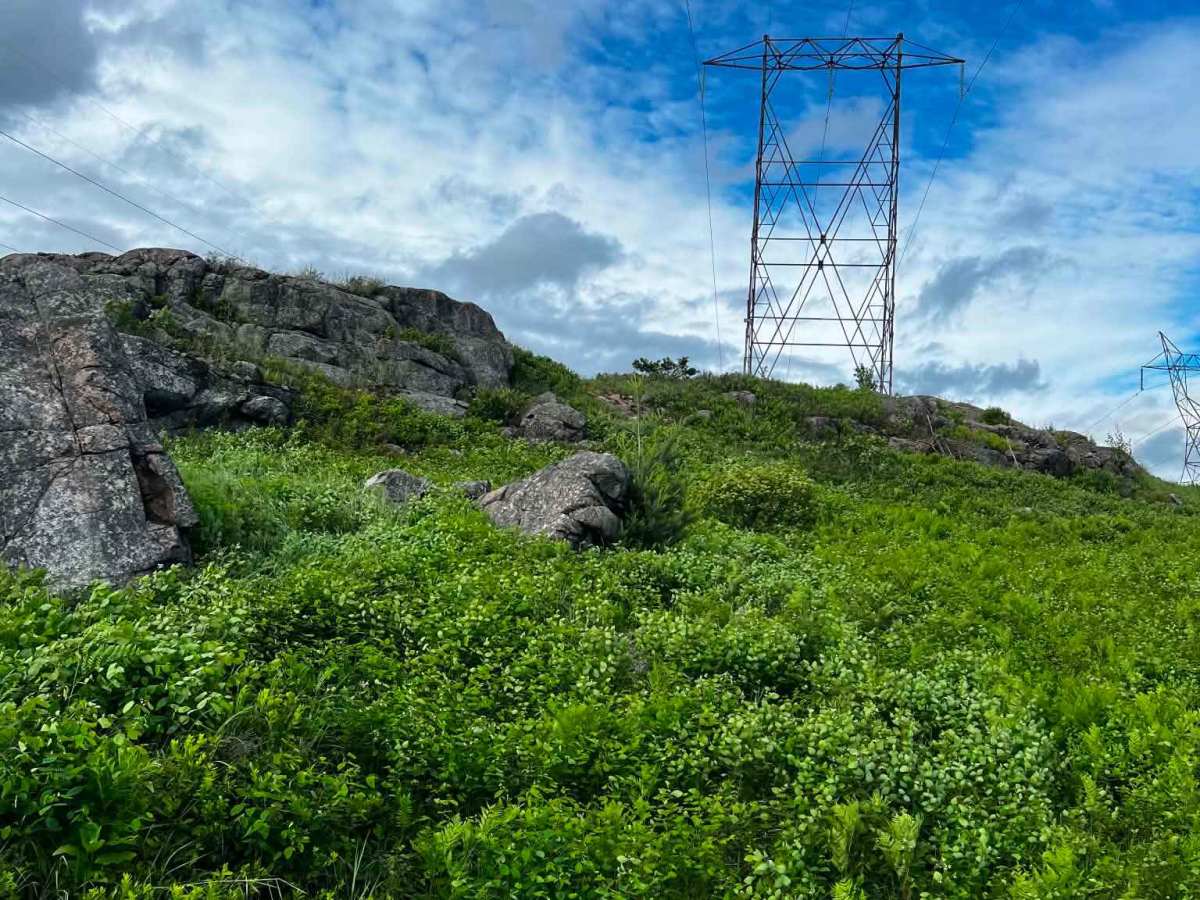 Lingham Hydro Line photo 3