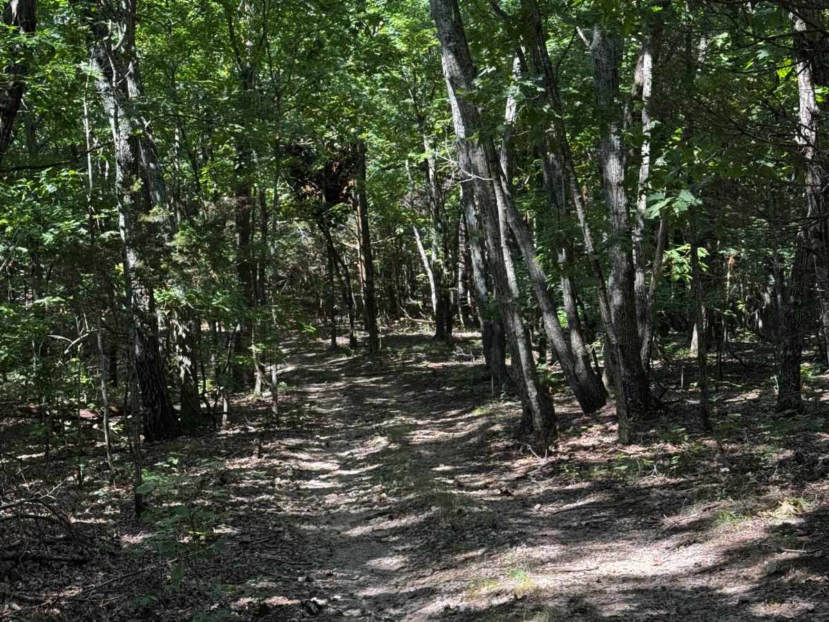 Heinke Hills  trail photo