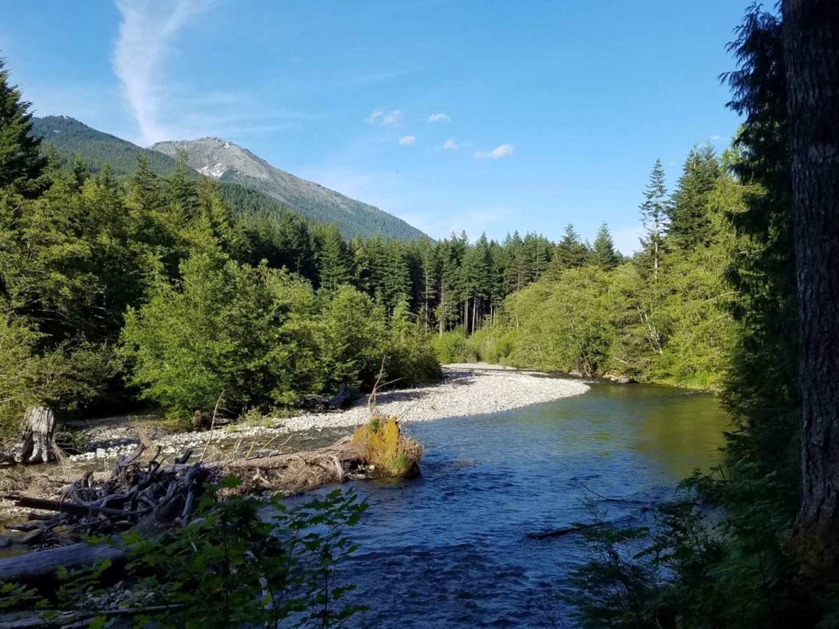 Tinkham Road (NF-55) photo 6