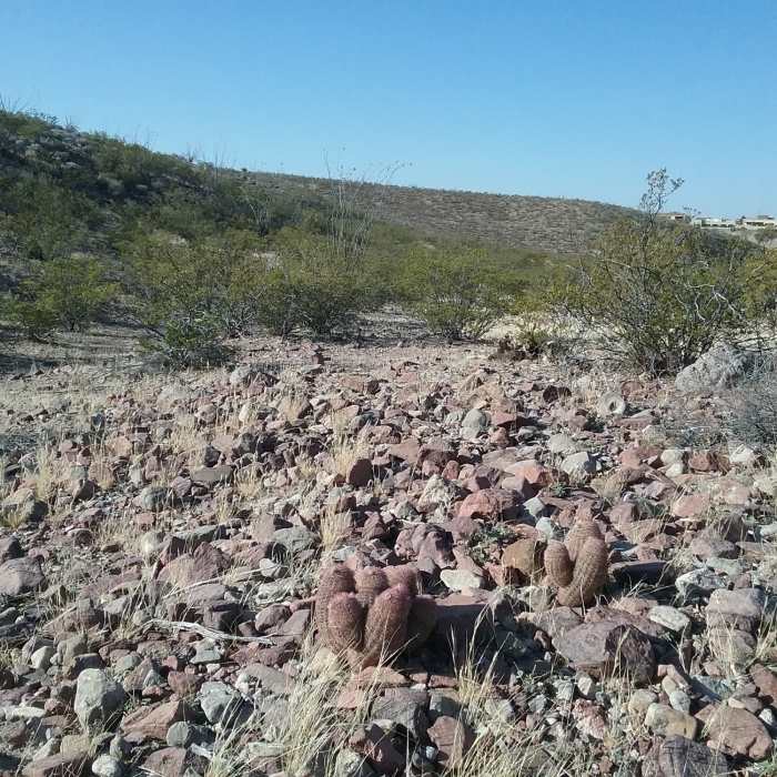Looking south in the Valley Near Del Sol Valley