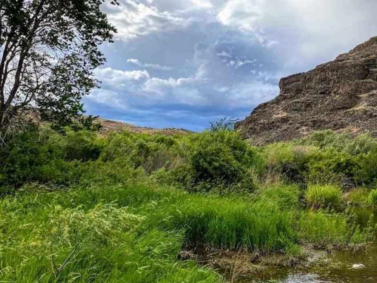 Cayuse Creek Cruise photo 6