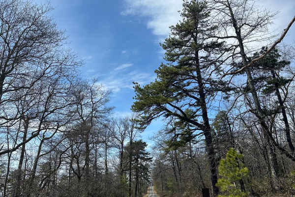 Thompson Hollow Road 
