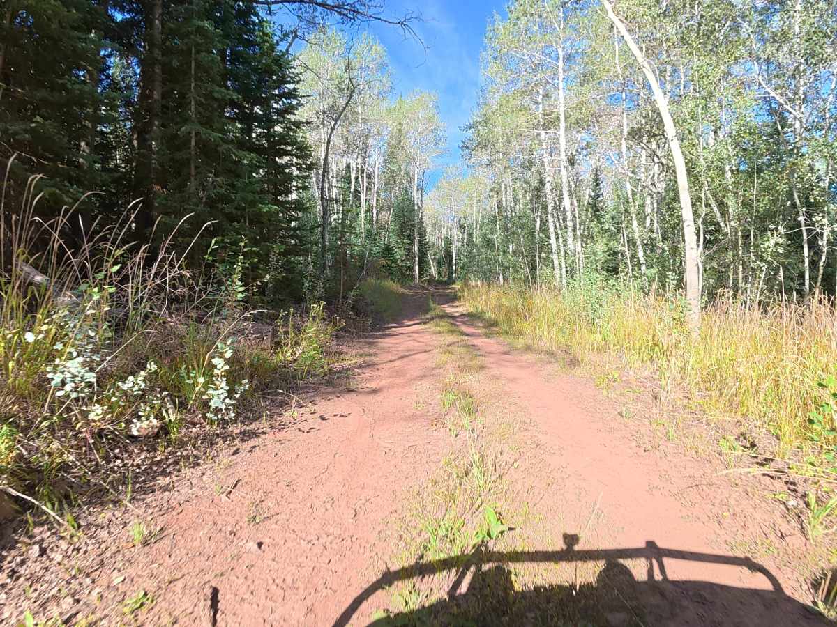 Big Ridge Road - FS 243 photo 5