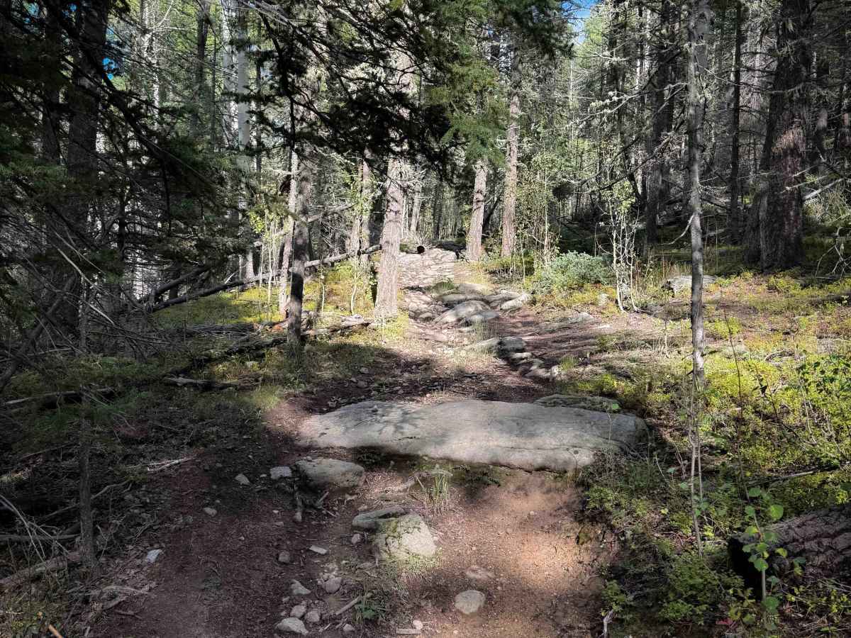 Gallegos Trail - FS 4  photo 4