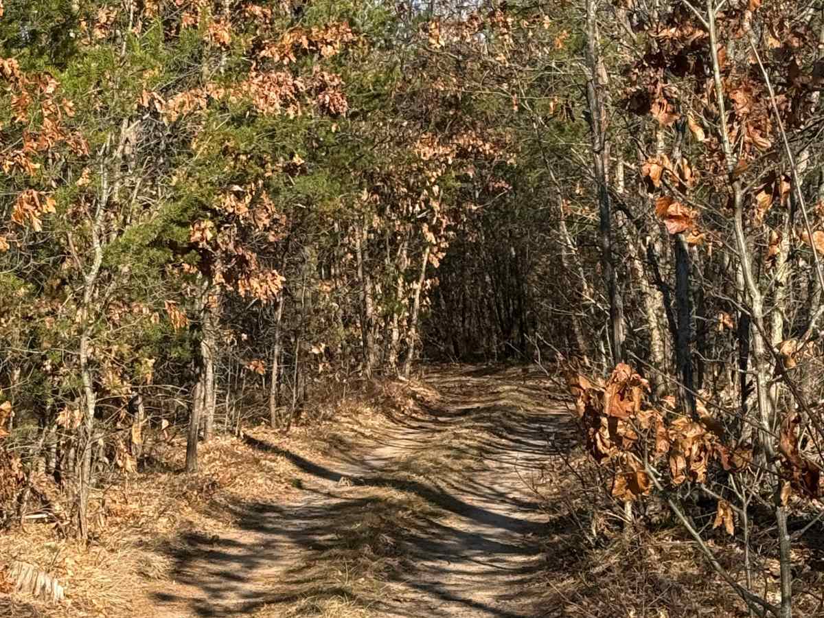 FS 5039 trail photo