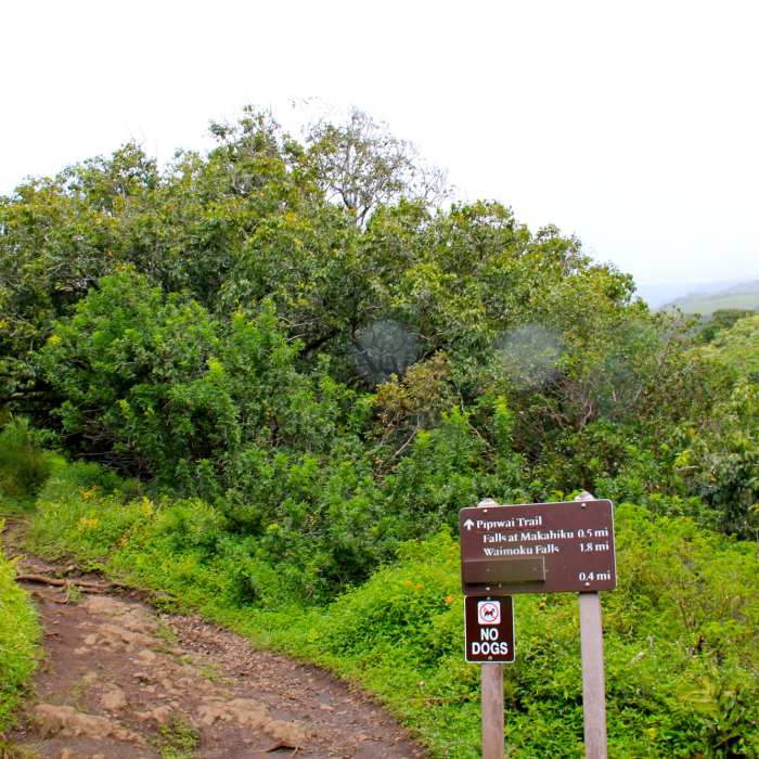 Near Kuloa Point Trail