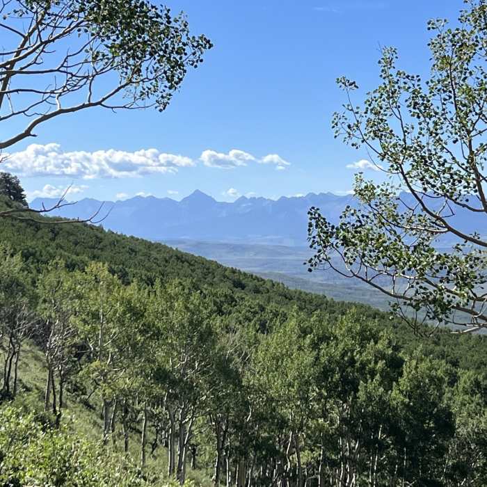 Near Clear Creek Trail