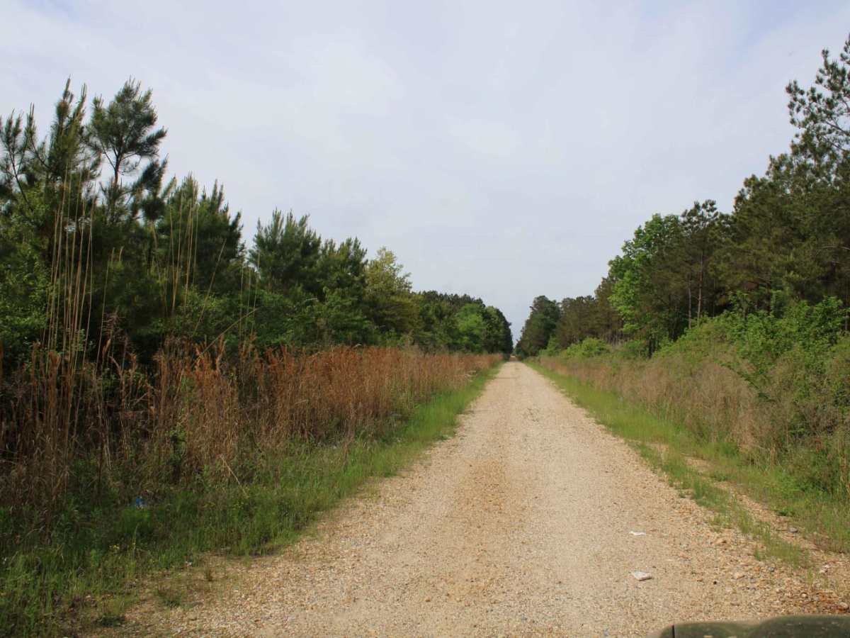 The Arkansas Overland Route - TrailHawk Loop - Section 22 trail photo