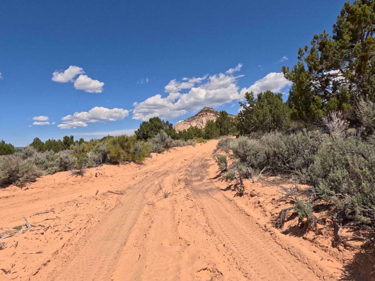 BLM 106Q photo 4