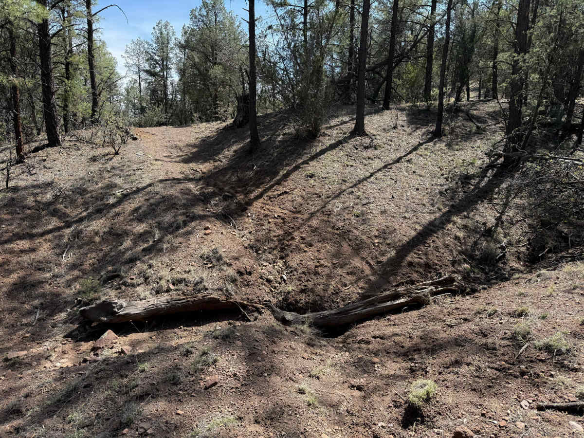 953 trail photo