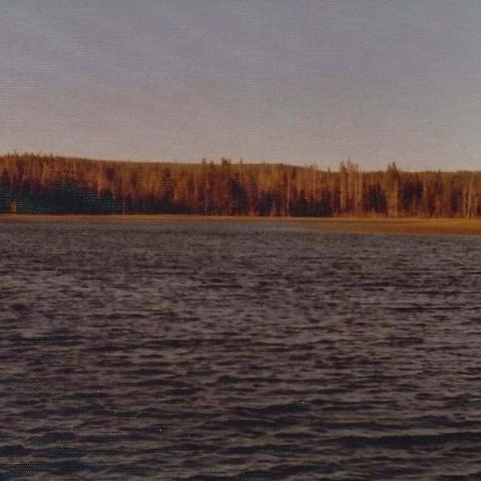 Near Boundary Creek Trail