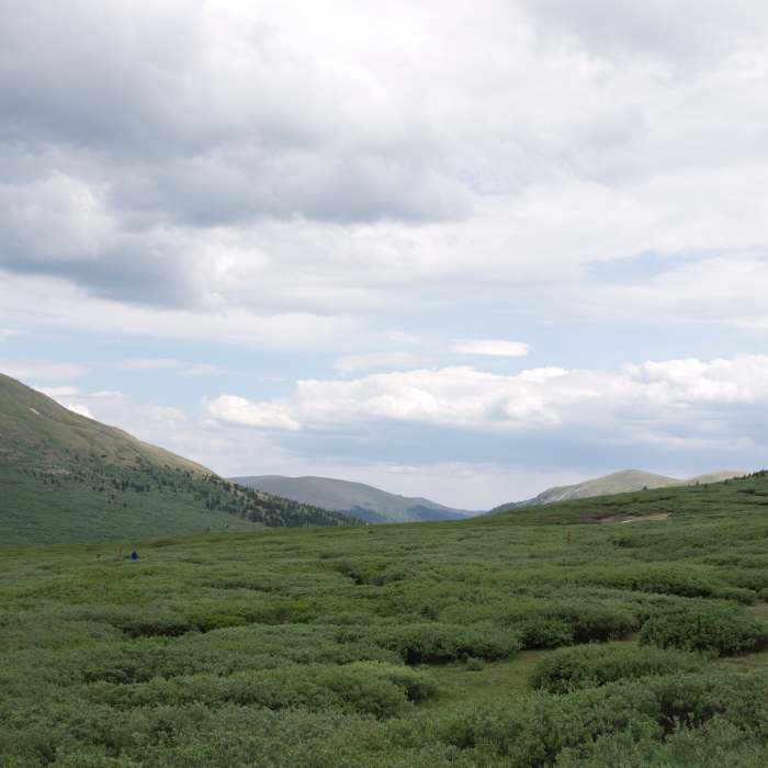 Near South Park Trail #600