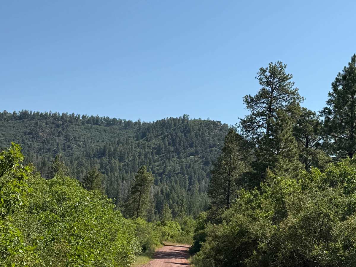 West Trail Creek - FR 20 photo 5