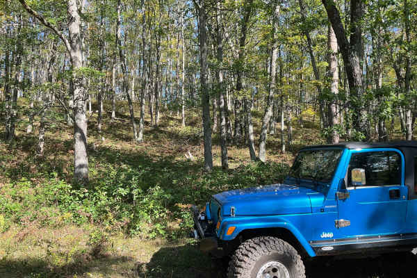 Pine River Corridor