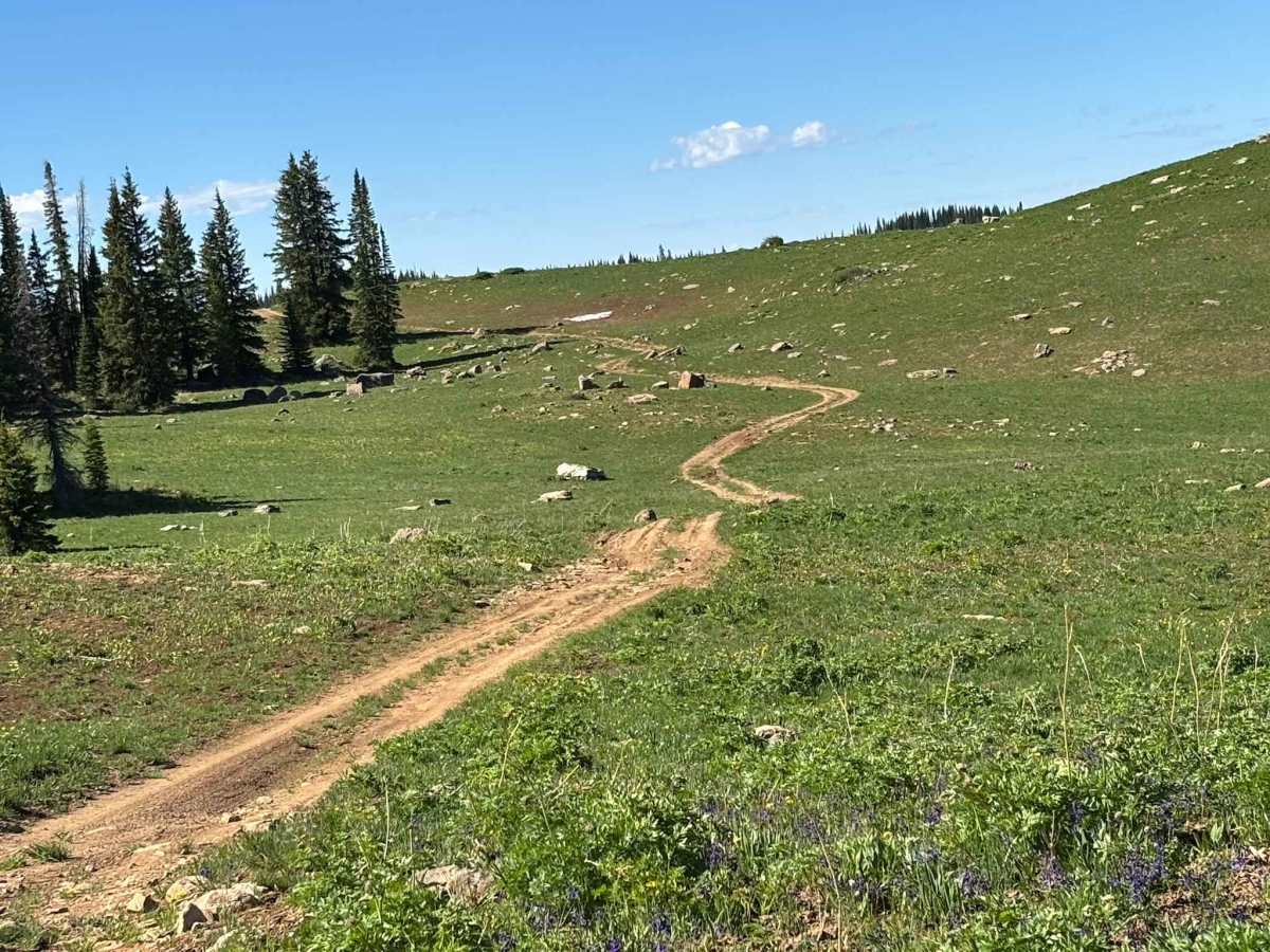 Cow Lake Road trail photo
