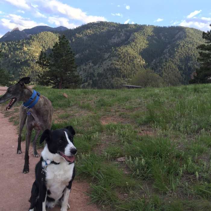 Near Red Rocks Trail