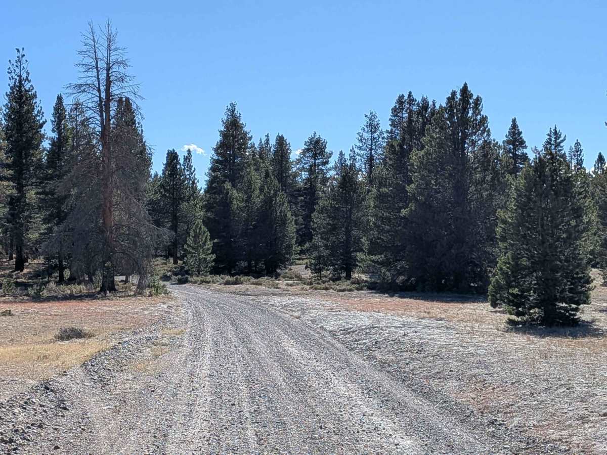 Sand Flat Cutoff photo 3
