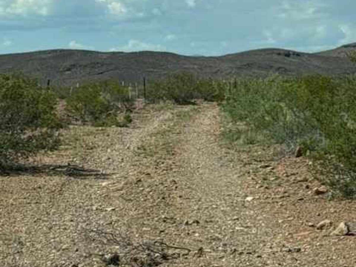 BLM PE1126 trail photo
