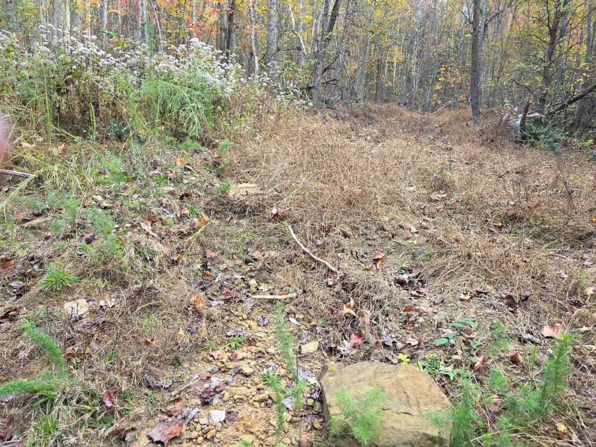Snake Ditch photo 5