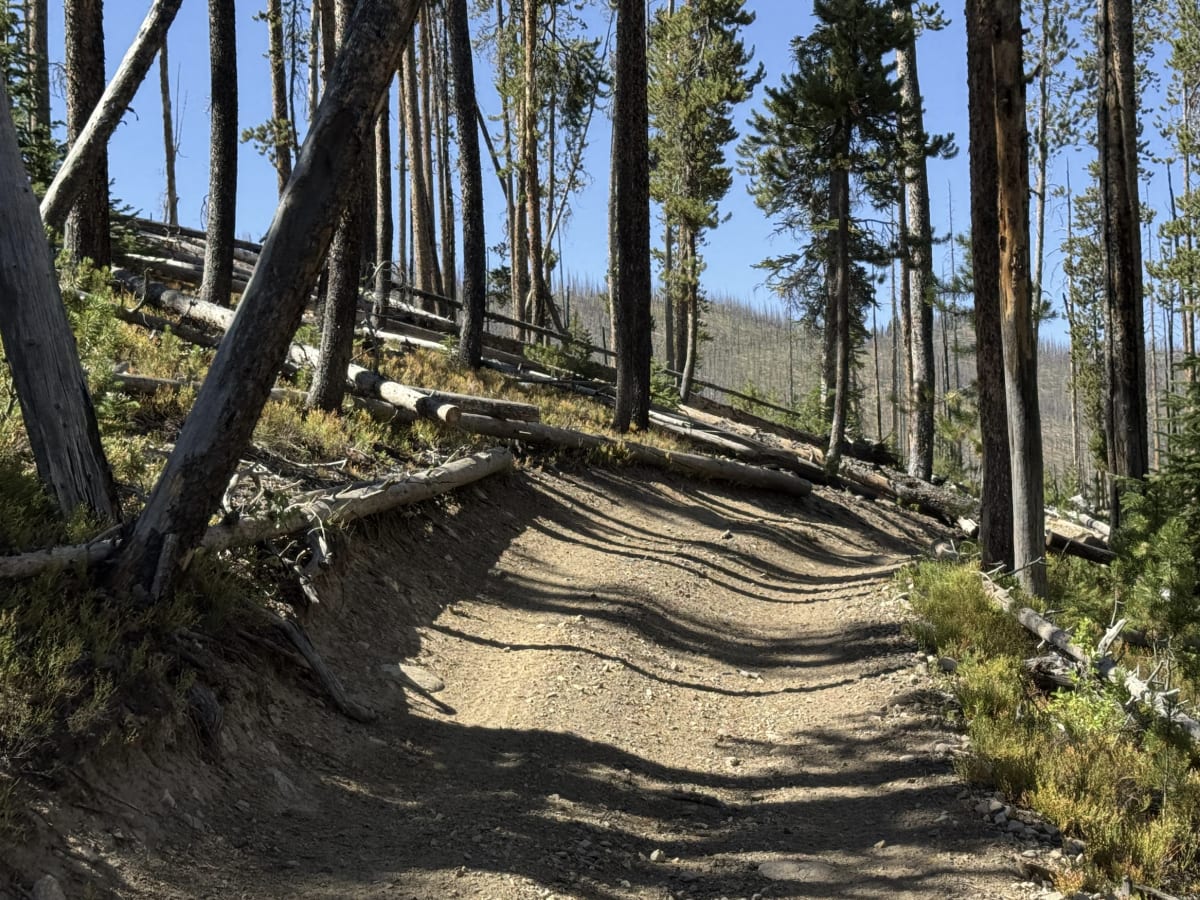 Valley Creek - FSR 4039 photo 5