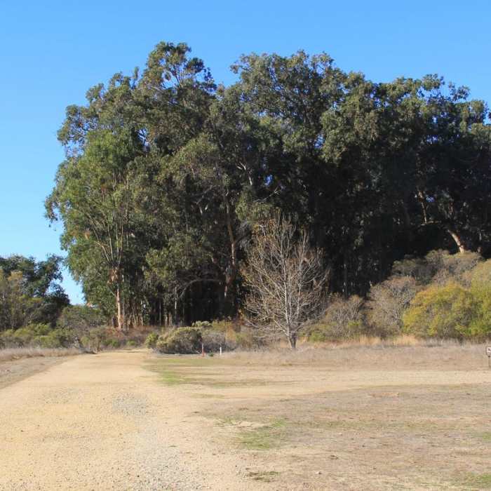 Near Headlands Trail Near Headlands Trail