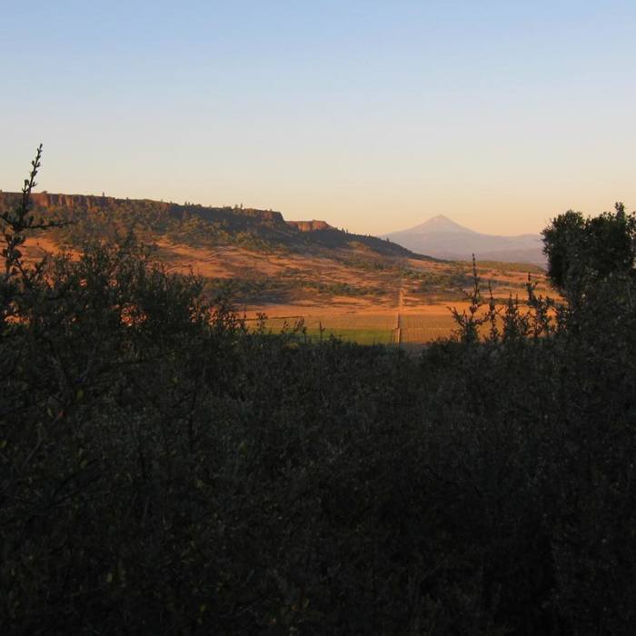 Near Lower Table Rock Hike