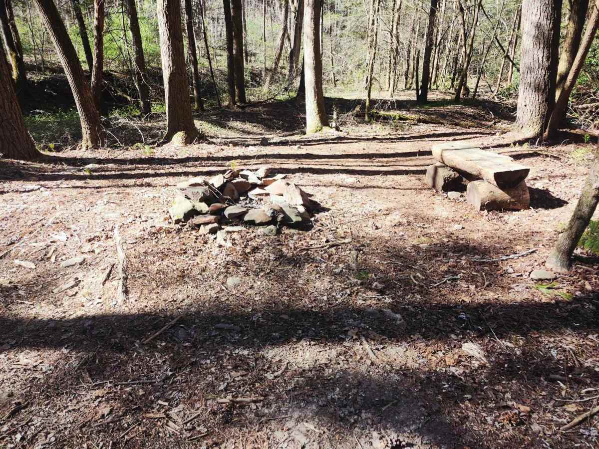 Branchwater Trail photo 3