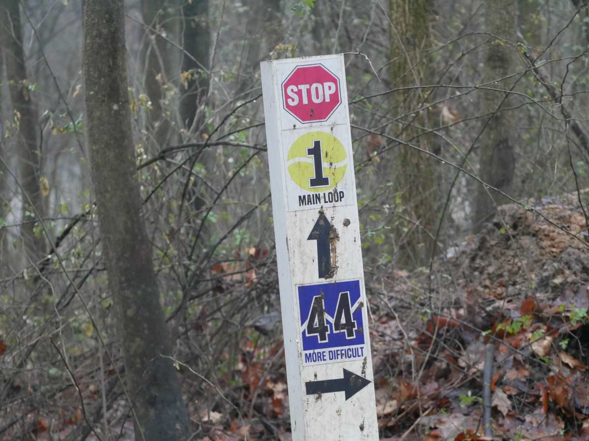Trail 44 trail photo