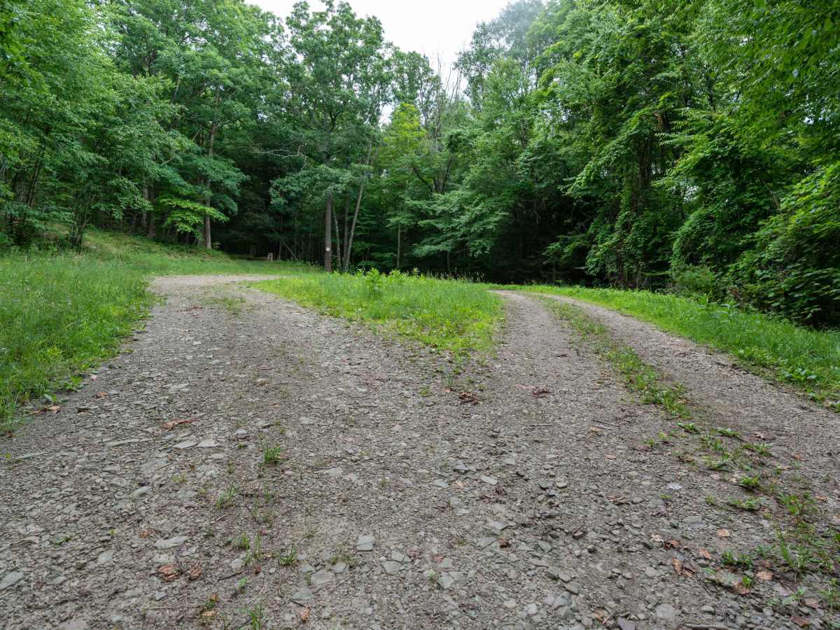 Left Fork Truck Trail photo 4