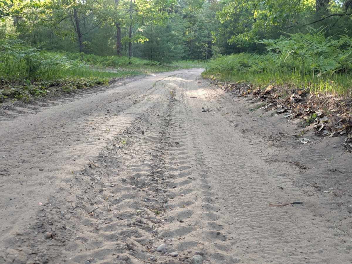 Little Canyon Creek Road photo 2