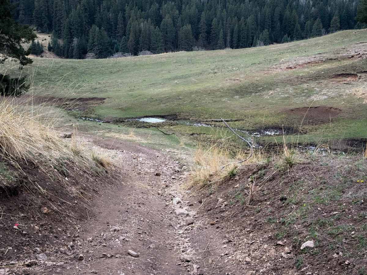 Upper Wills Canyon - FS 9278  photo 2
