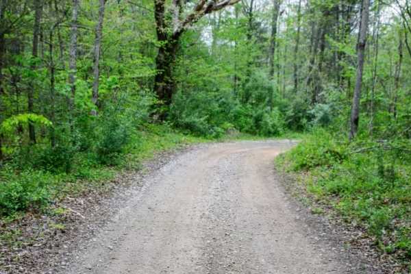 Patterson Road