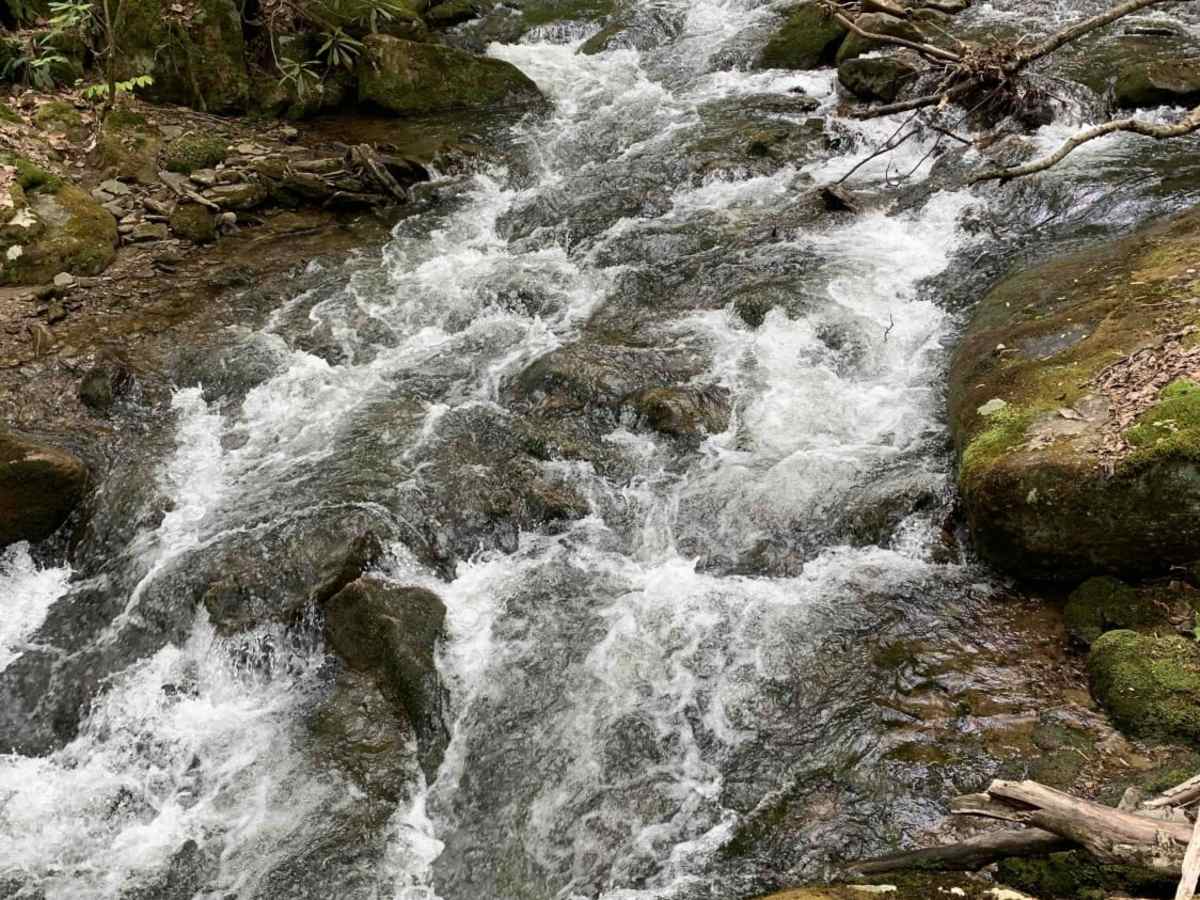 Table Falls Loop trail photo