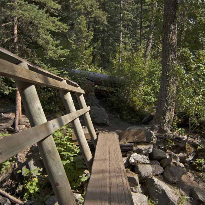 Near Pine Creek Lake