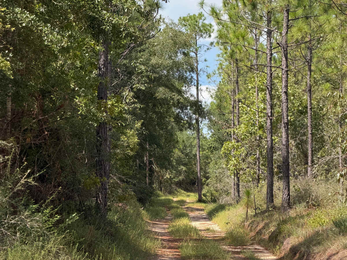 Blackwater River R79 trail photo
