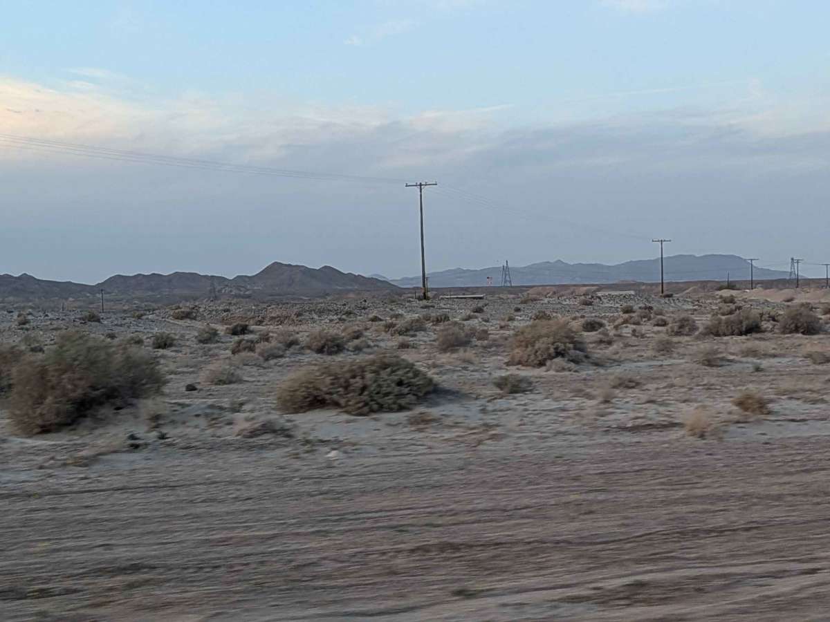 BLM 237 photo 4