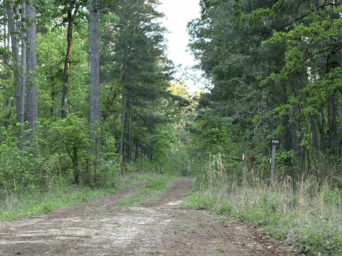FS 518A trail photo
