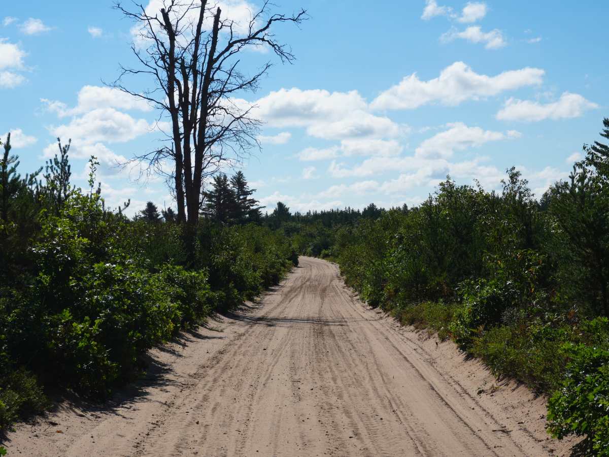 Rollway ORV Trail photo 4