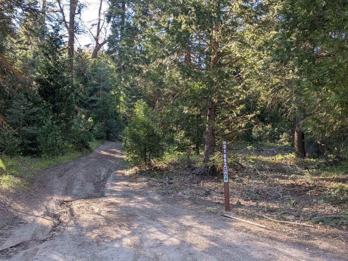 West Evans - FS 31E62 photo 6