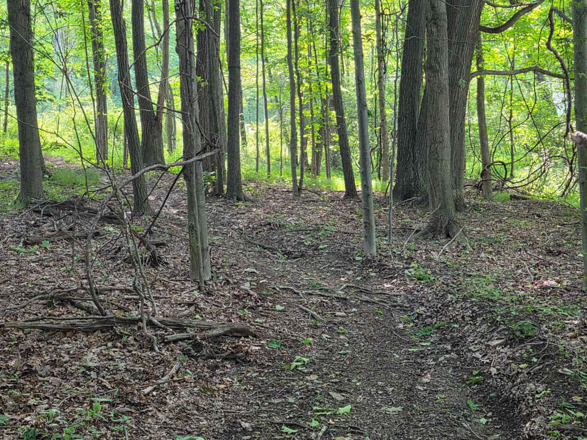 Single Track B trail photo