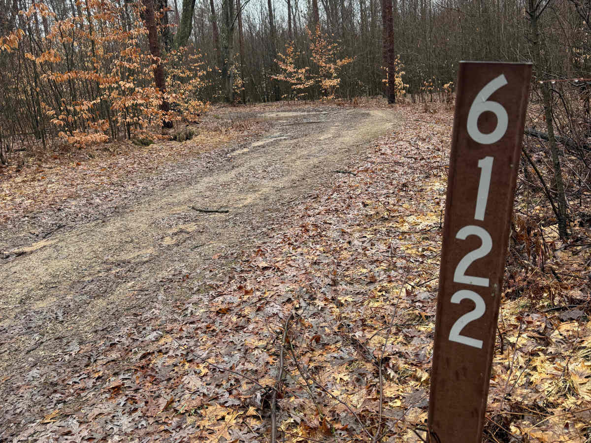 NFS 6122/6123 trail photo