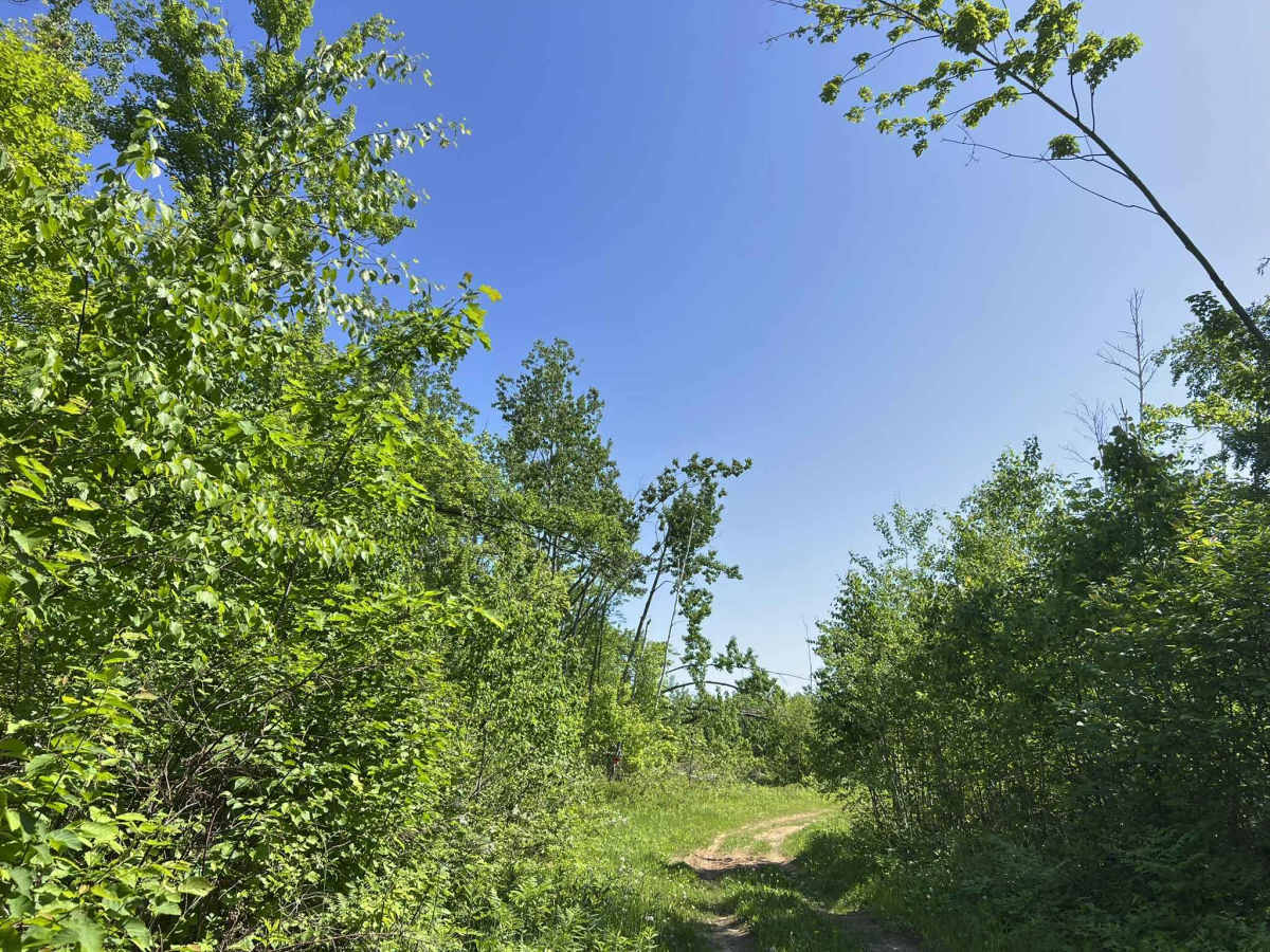 FS 2336BA/AAA trail photo