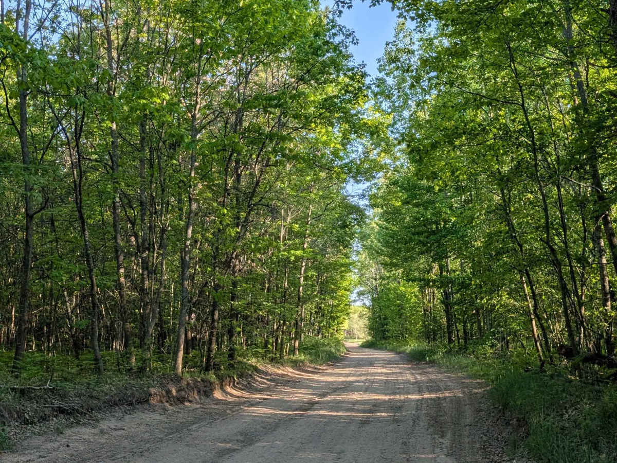 Beech Road photo 5