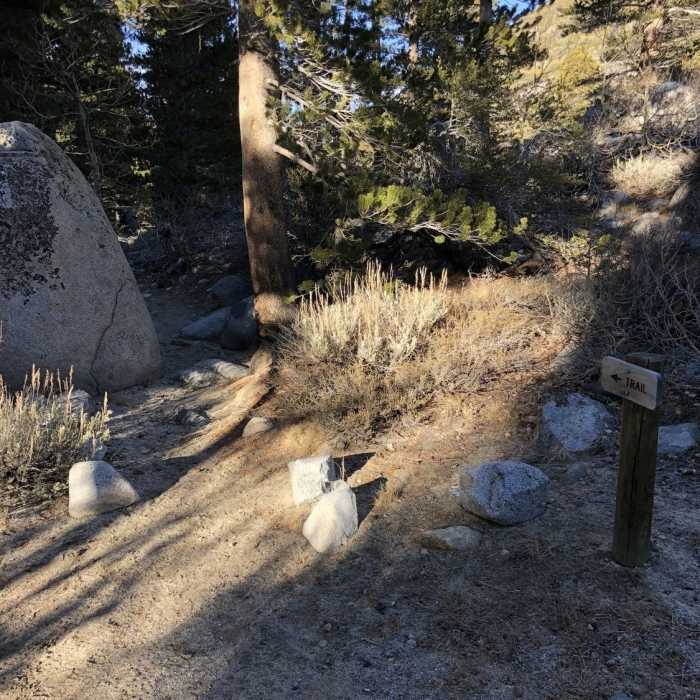 Near Upper Rock Creek Canyon Trail