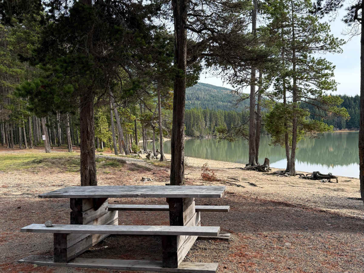 West Kalum Forest Service Road photo 4